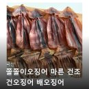 쫄쫄이 | 국산 쫄쫄이 오징어 찐후기