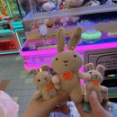 코끼리인형뽑기 이미지