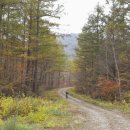 양덕동095 이미지