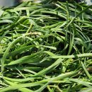 삼동초등학교 이미지