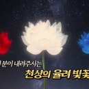 .검정색은 신.. 검정색 = 북극성 창조신....궁희.소희는 음양으로 되어있다.... 이미지