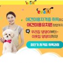 모여라 애견미용 이미지
