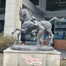 동대10, 11통마을회관 | 종로1차여행후기 Main (청계천+광장시장)