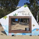 율포솔밭해변1 이미지