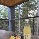 하동편백자연휴양림 이미지