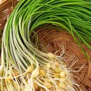 히트앤핏 이미지