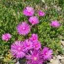 산아래물가에서 이미지