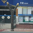 좌동지구대 앞 이미지