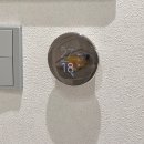 셀인 | 셀인 전기업체 추천 후기 ⚡️(마그네틱레일, 간접등, 구글네스트, 꿀팁)