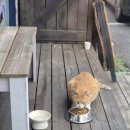 뚜뚜이네 바느질공장 이미지