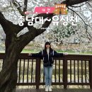 유성천 | 대전 데이트 코스 추천｜충남대학교와 유성천 산책 후기