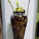 (주)산야초로 이미지