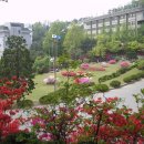 강남대가