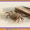 발랑낚시터 이미지