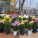 문내주공아파트 이미지