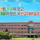 부산교육대학교 부설초등학교