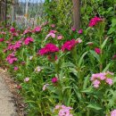 일신리경로당 이미지