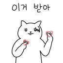 눈썹함다 네이버블로그