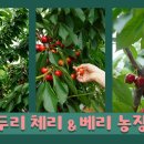 두리농원 이미지