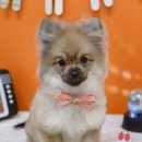 개린이미용실 이미지