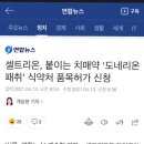 셀트리온, 붙이는 치매약 '도네리온패취' 식약처 품목허가 신청 이미지