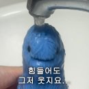 메가패스 PC방 | 10월 정리 ٩( ᐛ )و