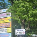 여행 코스, 갑사 베이커리밤마을 공주 맛집 고마나루1999 공산성 마곡사, 공주 가볼만한 곳, 테마캠프...