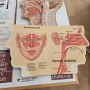 도안한의원 이미지