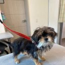 홍글몽글 이미지