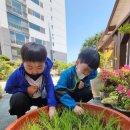 👨‍🌾👩‍🌾꼬마 농부가 되어보아요🌾 이미지