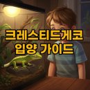 크레스티드게코 사육후기, 집사생활의 장점과 단점은?