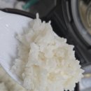 범이농장 | 범이농장 초당쌀