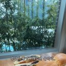 성덕로 네이버블로그