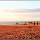 신천목장 이미지