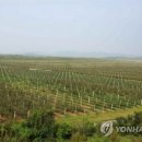 종합농장 이미지