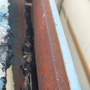 사하구 하신번영로107번길 이미지