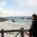 케이프타운 이미지