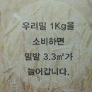 밀밭과자점 이미지