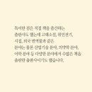 현대서점 Daum카페