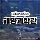 제2회 성인주간활동 서비스 | [주간 외부활동] 시흥 해양생태과학관, 평일에 다녀온 후기!