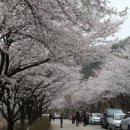 산꽃로 이미지
