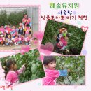 해솔유치원 이미지