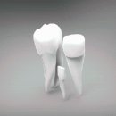 포셀트치과의원 이미지