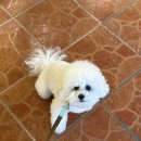 맥시칸치킨 | 부산 망미 야장 술집 맥시칸치킨 토현점 주말 웨이팅 후기