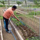 은하농장 이미지