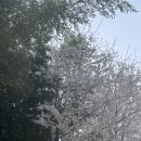 몰운대화손대공중화장실 | 운전면허시험장 청년(체험형)인턴 합격 과정/면접후기/면접질문/이과, 전자전기과 합격/서류전형 꼴찌...