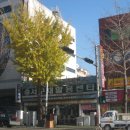 검정다리추억비 이미지