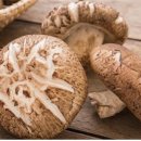 핏피티(Fit PT) 이미지