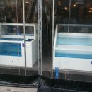 수조닭집 이미지