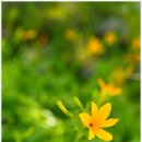 풍암호수공원 이미지